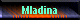  Mladina 